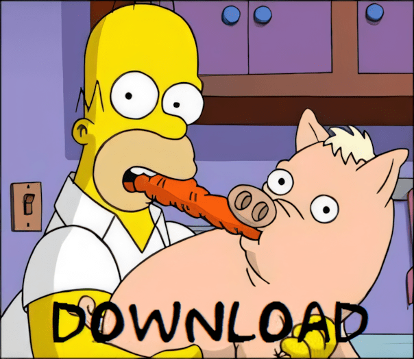 Download Spider Pig MP3